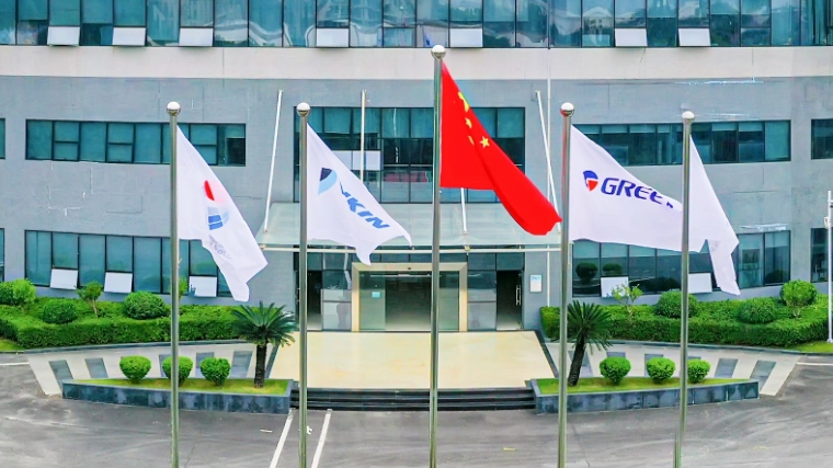 Mercato delle esportazioni di muffe cinesi: opportunità e sfide